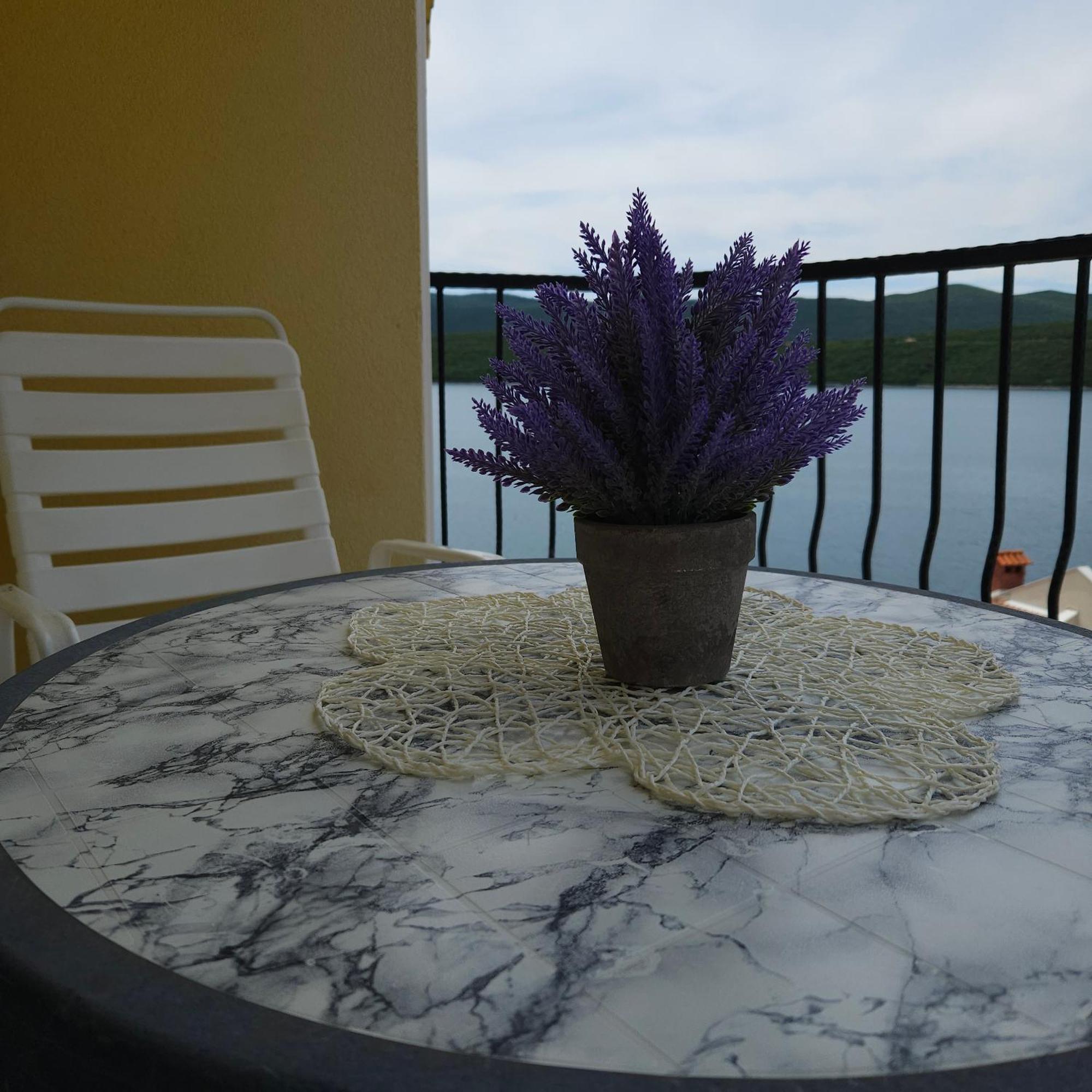 Apartments Cytrus Neum Ngoại thất bức ảnh